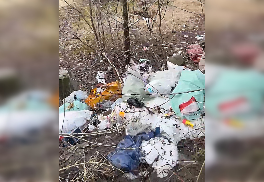 Нижегородцы жалуются на свалку мусора на Волжской набережной