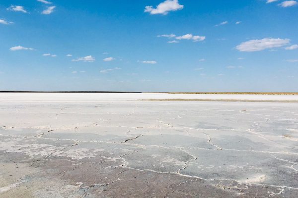 Студенты Мининского университета отправятся в научную экспедицию в Калмыкию