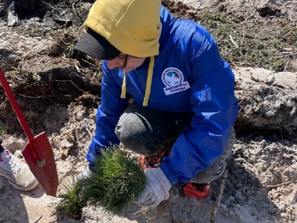 Нижегородцев приглашают присоединиться к международной акции «Сад памяти»