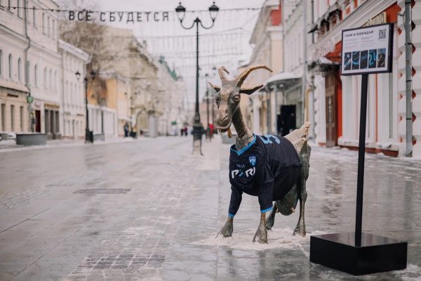 Нижегородская коза облачилась в форму футбольной команды