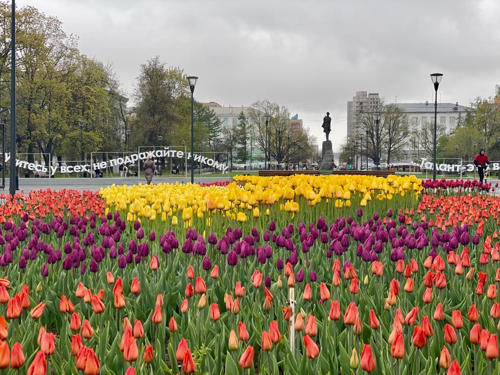Центр Нижнего Новгорода засадят цветами