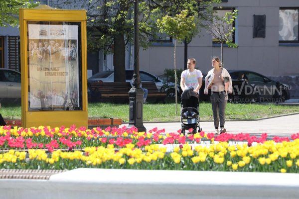 Цветочное оформление Нижнего Новгорода завершится к 5 июня