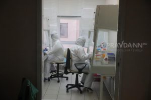 Самые высокие зарплаты в Нижегородской области получают люди в&nbsp;науке