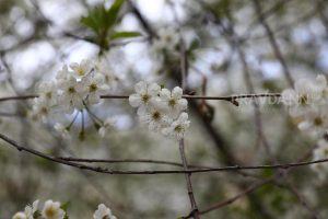 До +6 градусов поднимется температура воздуха на этой неделе