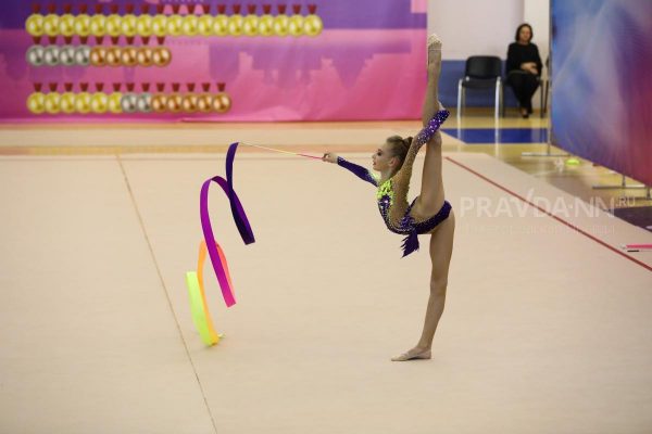 Центр художественной гимнастики построят рядом со школой олимпийского резерва на улице Ванеева