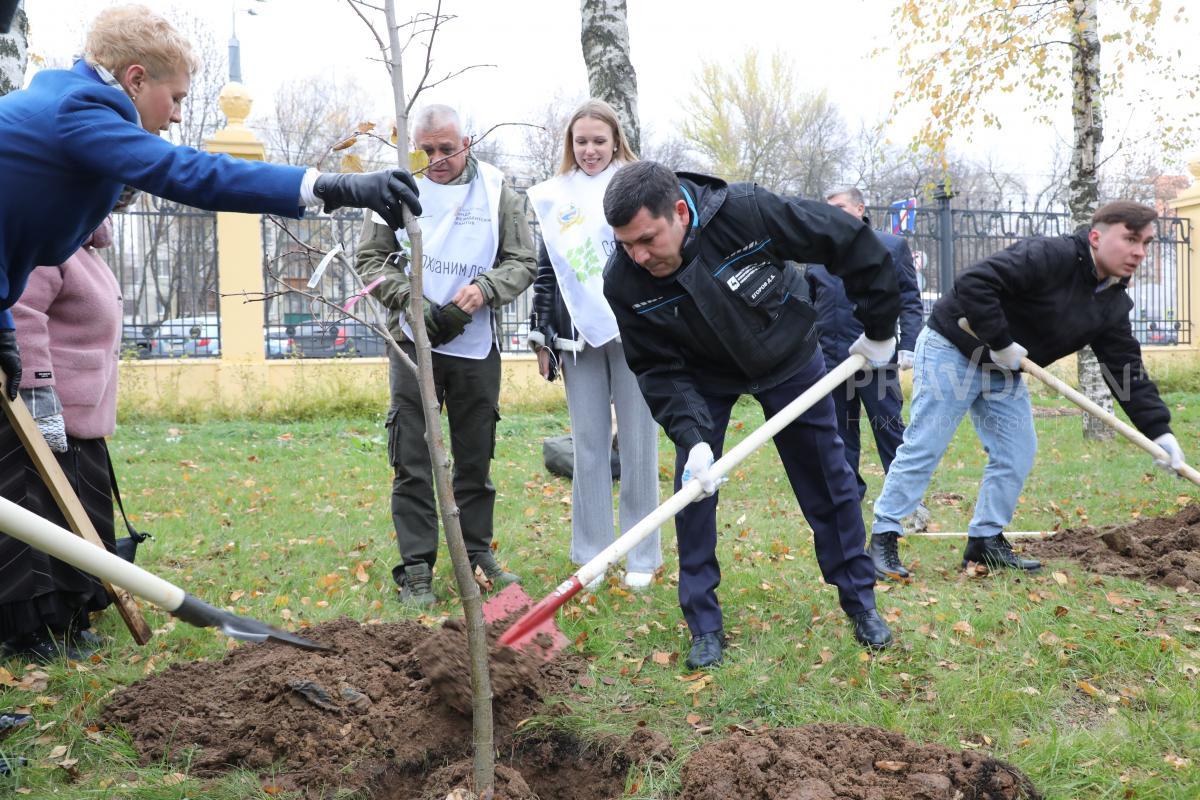 Застройщиков обяжут восполнять озеленение после строительства ЖК в Нижнем Новгороде