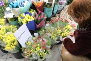 8 марта может быть опасно для&nbsp;собак
