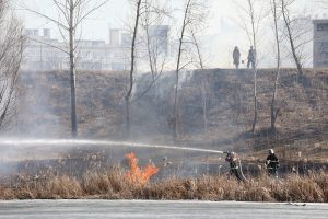 Сухая трава загорелась около Мещерского озера