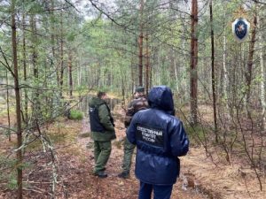 Уголовное дело возбудили из-за исчезновения 13-летнего мальчика в лесу в Борском округе