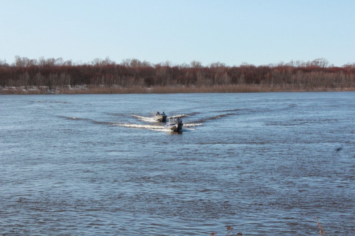 С 10 апреля на Чебоксарском водохранилище и его притоках начинается нерест