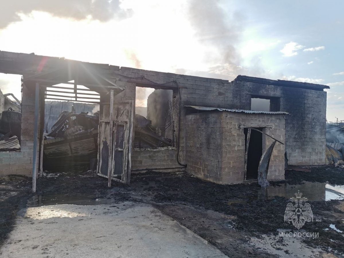 Последствия пожара ликвидированы в промзоне Дзержинска
