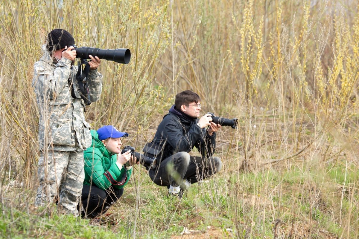 Соревнования по орнитологии Bird-Blitz пройдут в Артемовских лугах с 29 апреля по 9 мая