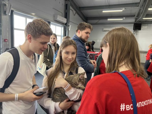 Выставка #Всемпокотику проходит на стадионе «Нижний Новгород»