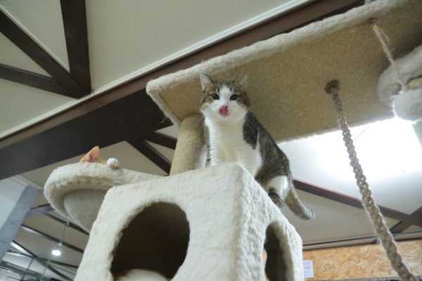 Приметы на 10 января: что можно и чего нельзя делать в этот&nbsp;день