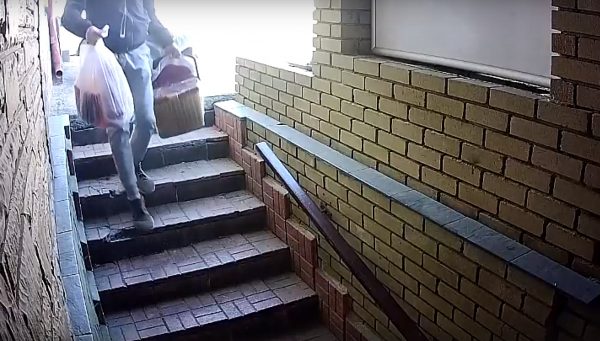 Кота и мертвую кошку подкинул неизвестный к дверям котопесокафе в Нижнем Новгороде