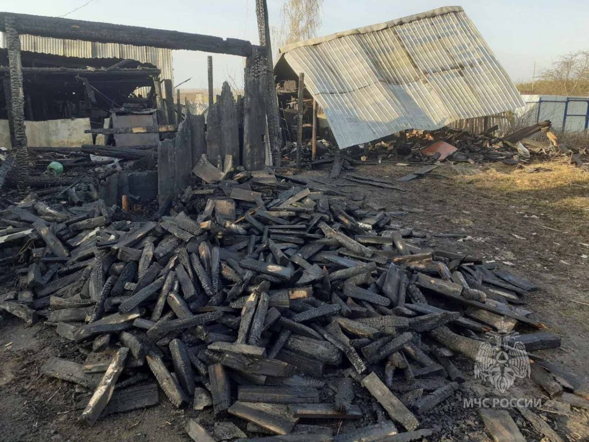 Пять сараев сгорели из-за короткого замыкания в Павловском округе