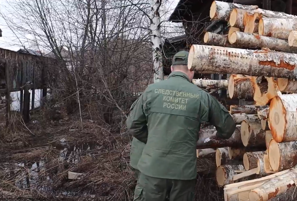 Тройное убийство на лесопилке в Семенове раскрыли спустя 22 года