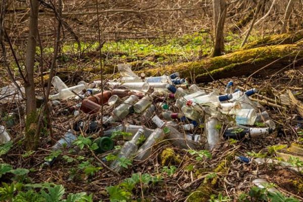 В Княгининском районе ликвидирована несанкционированная свалка отходов на землях сельхозназначения