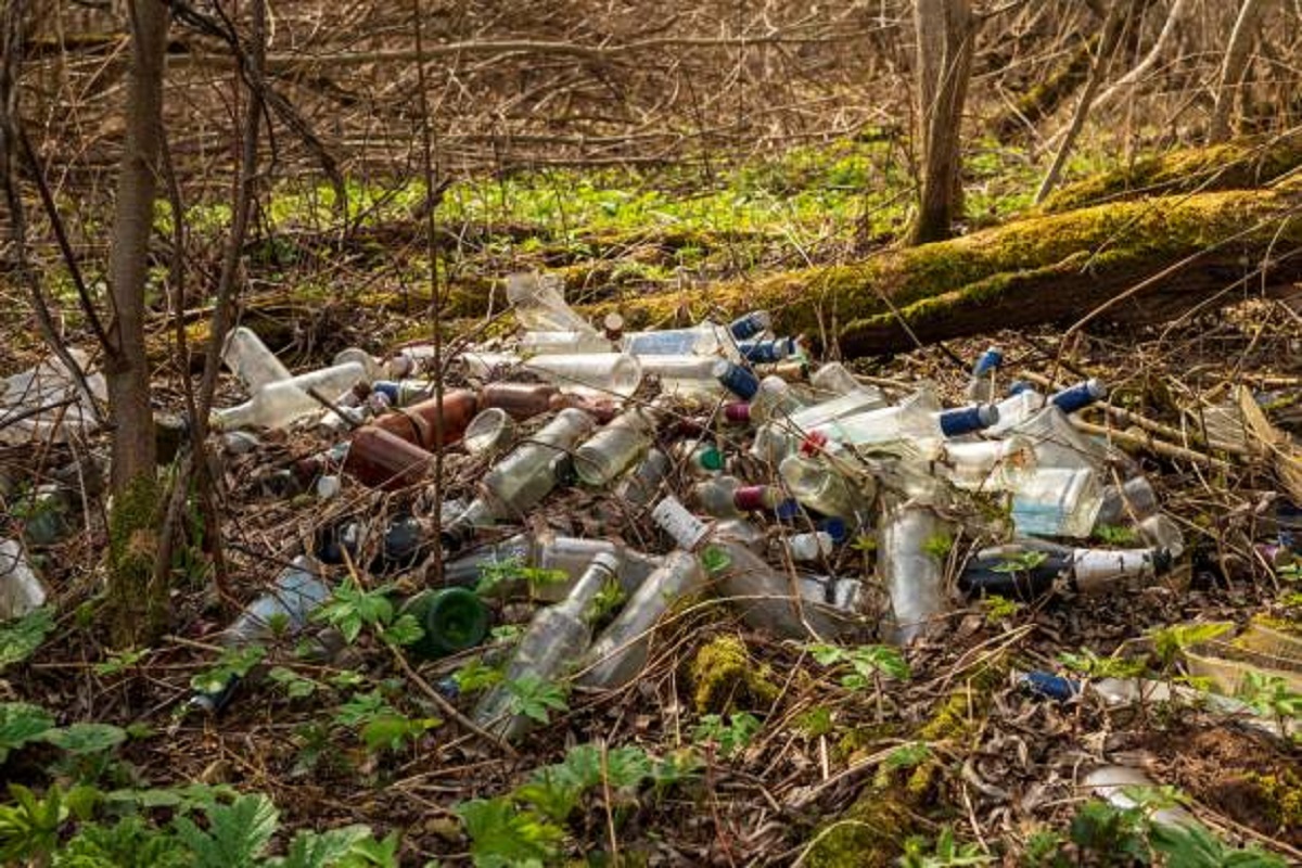 свалки мусора в лесу фото