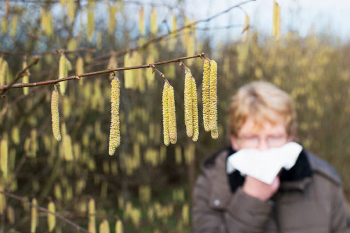 Как аллергикам пережить весну