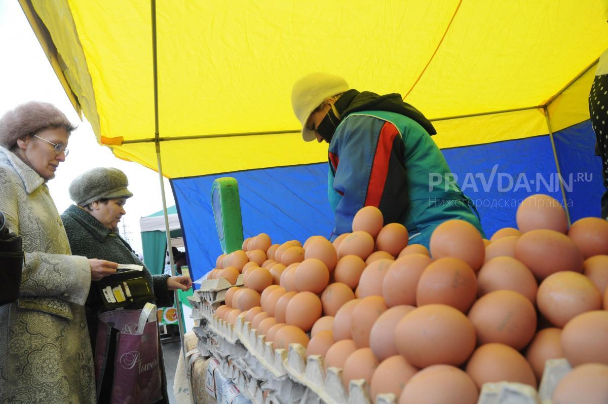 167 млн яиц произвели в Нижегородской области за январь-февраль 2023 года