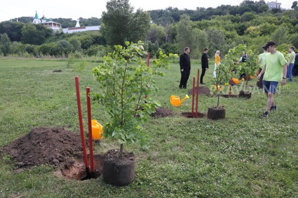 19 млн деревьев высаживают в Нижегородской области каждый год