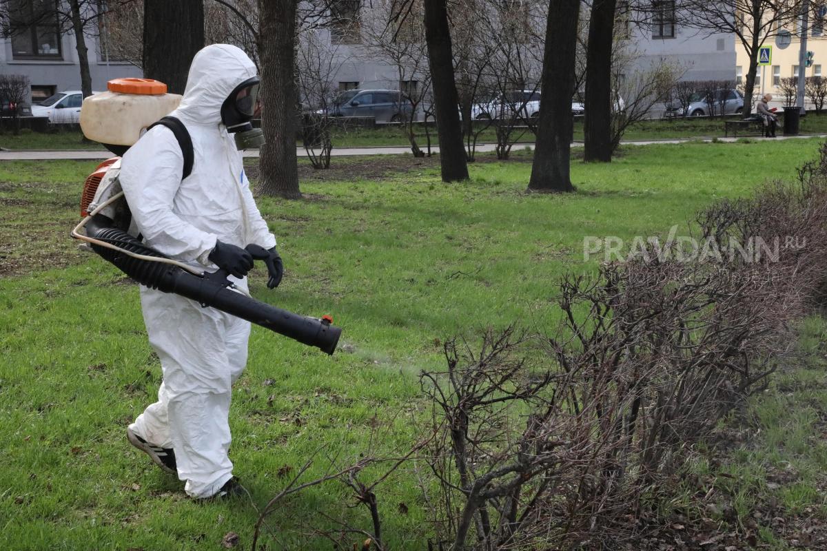 Пять парков обработают против клещей в Нижнем Новгороде с 24 по 27 мая