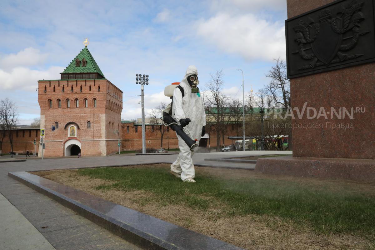 Все общественные пространства Нижнего Новгорода обработают от клещей до 31 мая