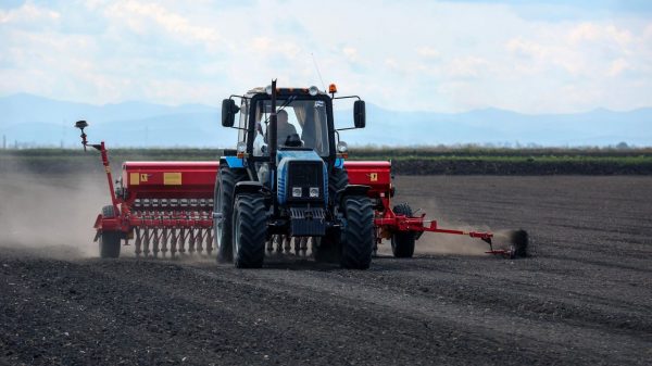 Сумма грантов «Агростартап» для нижегородских фермеров увеличится в 2023 году на 13,2%