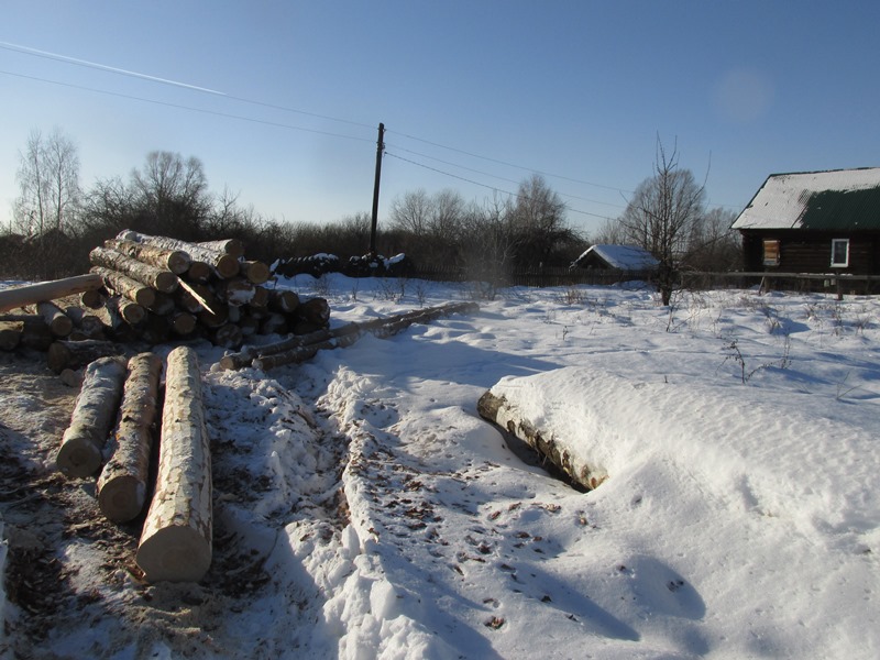 228 тысяч рублей составил ущерб природе за две спиленных сосны в Воротынском районе