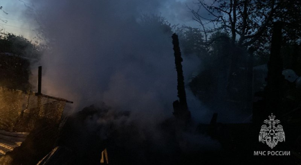 Садовый дом и две теплицы сгорели в СНТ «Красный кожевник» в Ленинском районе