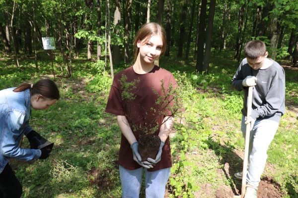 В Арзамасском дендрарии волонтеры высадили более 70 саженцев