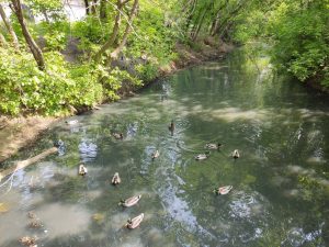 Берег Борзовки в Нижнем Новгороде благоустроят до конца сентября