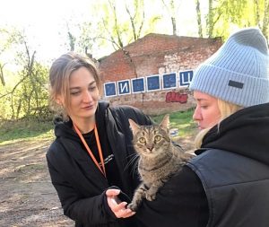 Коты из нижегородского котопесокафе снялись в сериале «На дне»