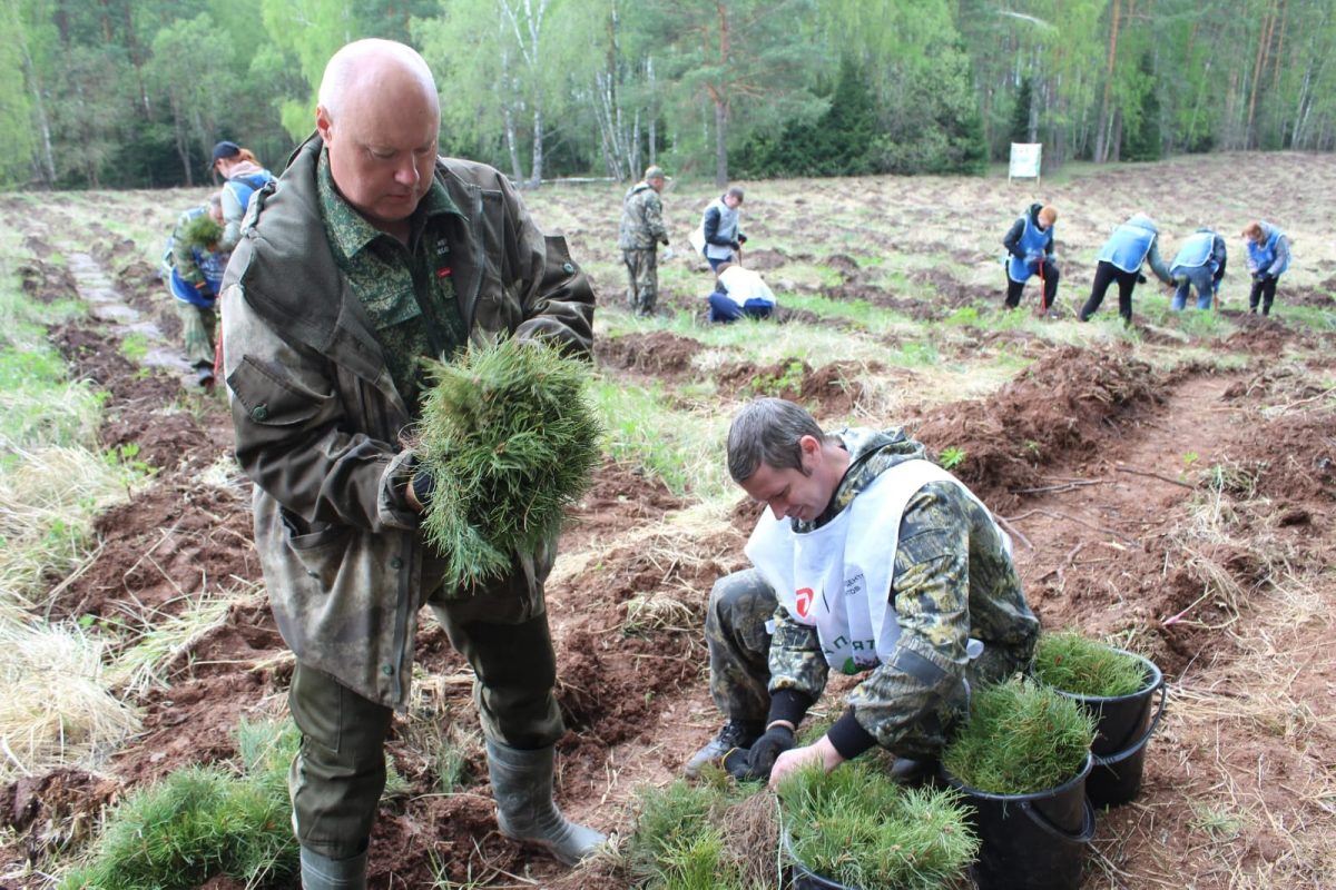 Акция «Сад памяти» прошла на территории Богородского районного лесничества Нижегородской области