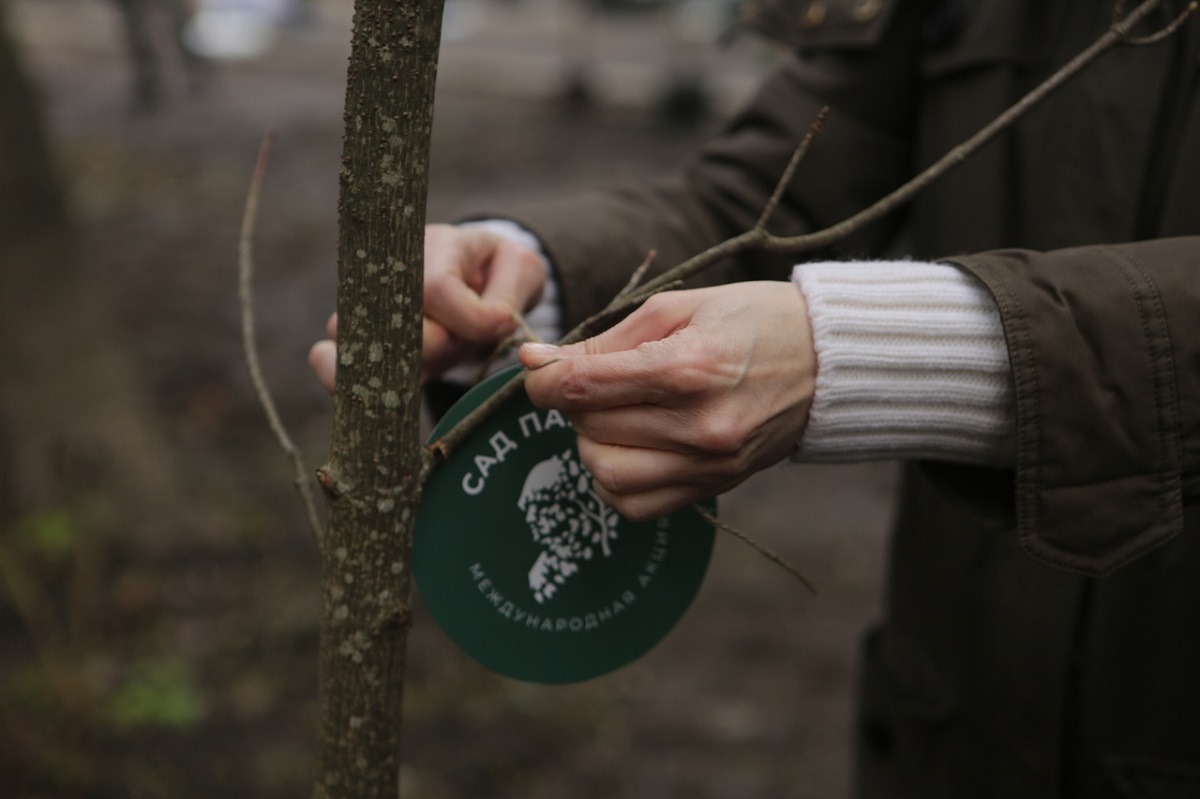 Волонтеры Росатома высадят аллею к 25-летию «Атомстройэкспорта» в рамках акции «Сад памяти»