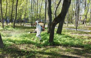 Парки и скверы в центре Нижнего Новгорода обработали против клещей
