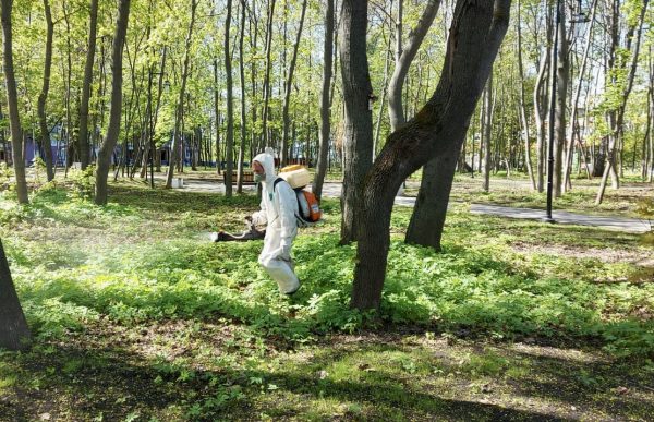 Парки и скверы в центре Нижнего Новгорода обработали против клещей