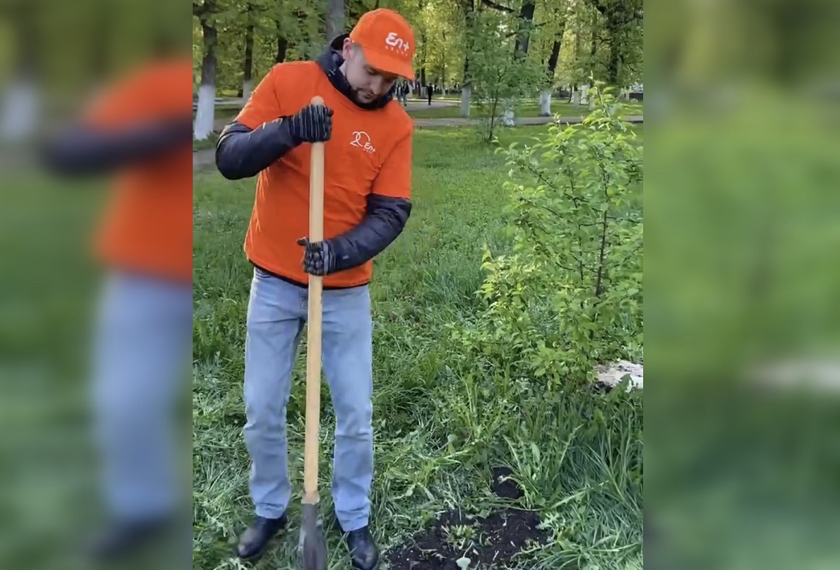 Сотрудники «Волгаэнерго» высадили деревья в Автозаводском парке