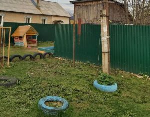 Глава СК РФ Бастрыкин поручил доложить подробности гибели 8‑летнего ребенка от удара током на&nbsp;Бору