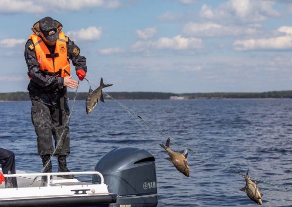 Нижегородская область присоединится к Всероссийскому Дню без&nbsp;сетей