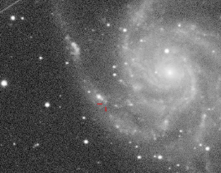 Нижегородский астроном-любитель случайно заснял вспышку сверхновой звезды