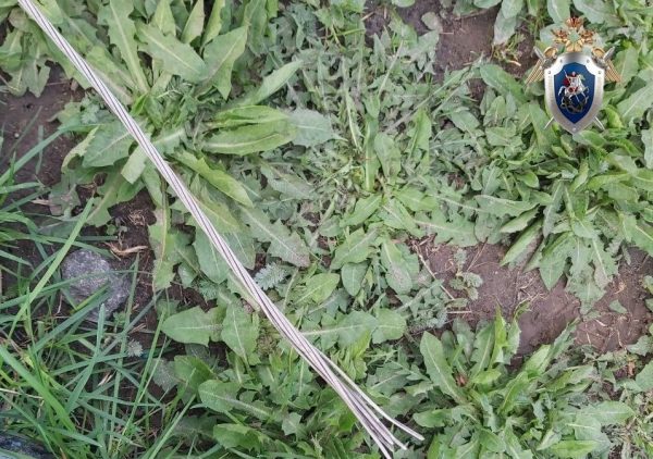 Восьмилетний ребёнок погиб от удара током на&nbsp;Бору