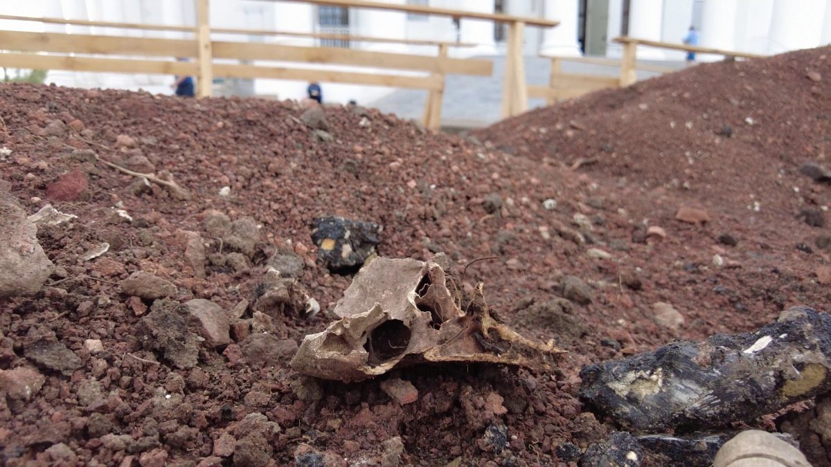 Археологи опровергли информацию о найденных человеческих останках в центре Арзамаса