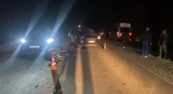 Семья с тремя детьми пострадала в ДТП с лосем в Арзамасском районе