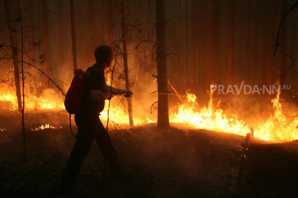 Высокая пожароопасность лесов и торфяников сохранится в Нижегородской области до 3 июня