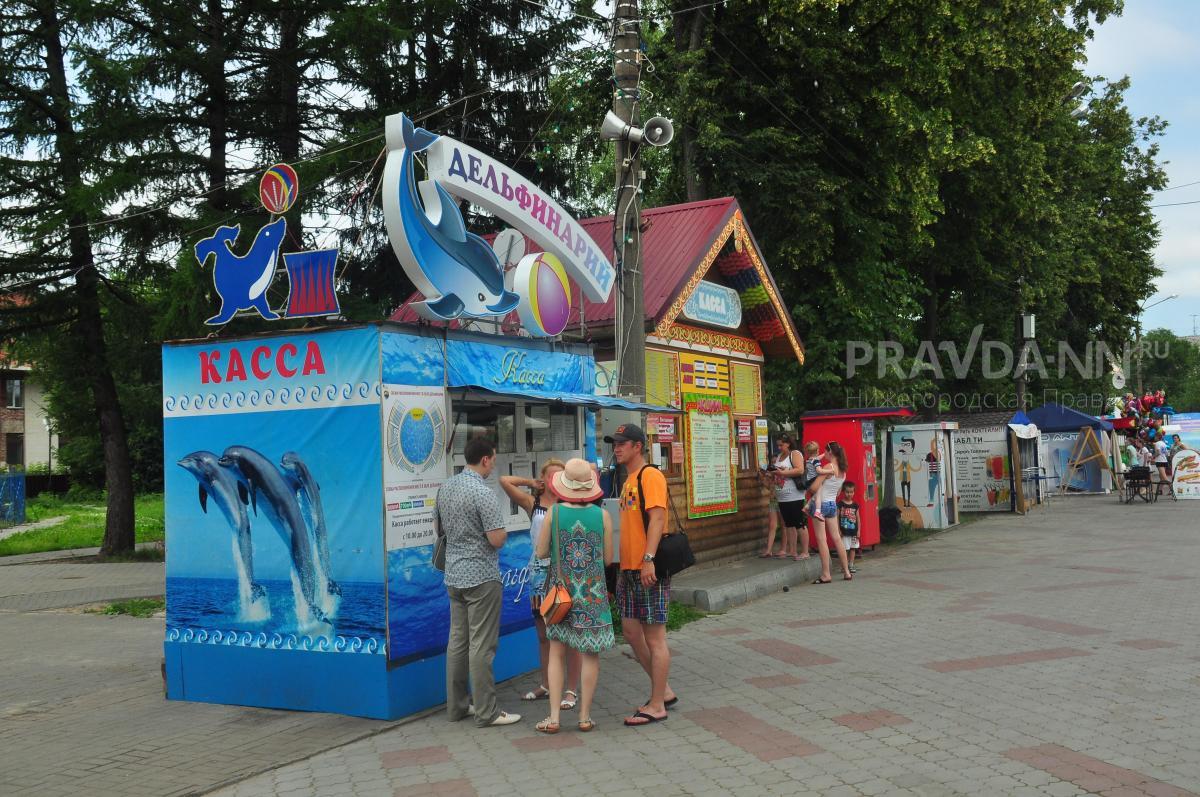 Правда или ложь: в Нижнем Новгороде закроют дельфинарий?