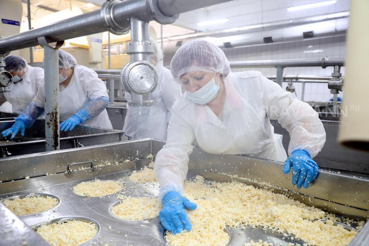 18,5 тысяч тонн кисломолочных продуктов произвели в Нижегородской области в начале 2023 года