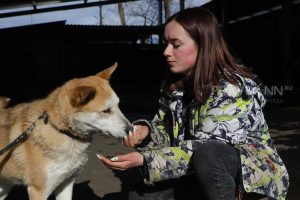 Стало известно, как одиночество сказывается на собаке