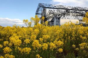 Выставка уральского авангарда откроется в Пакгаузе на Стрелке 31&nbsp;мая
